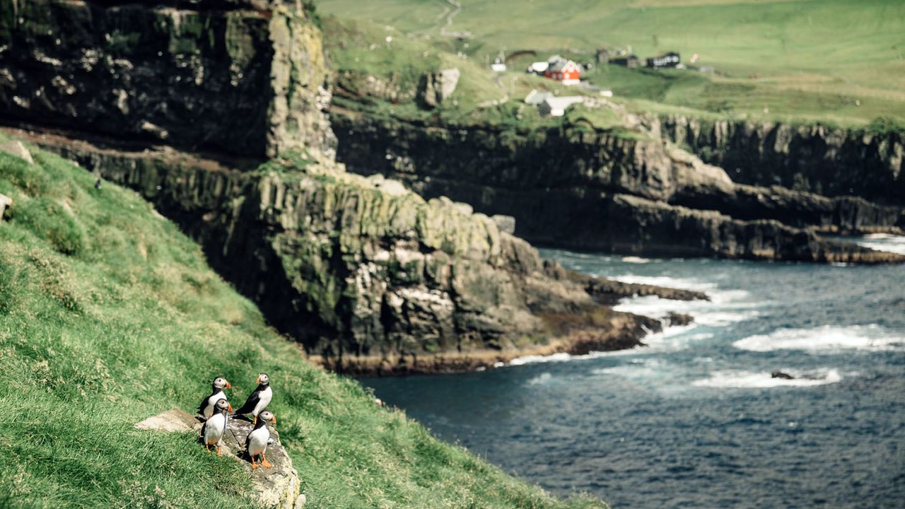 Faroe Islands