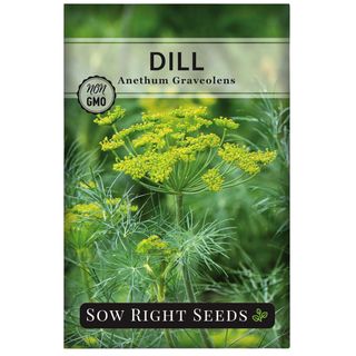 Sow Right Seeds - Dill Seed for Planting