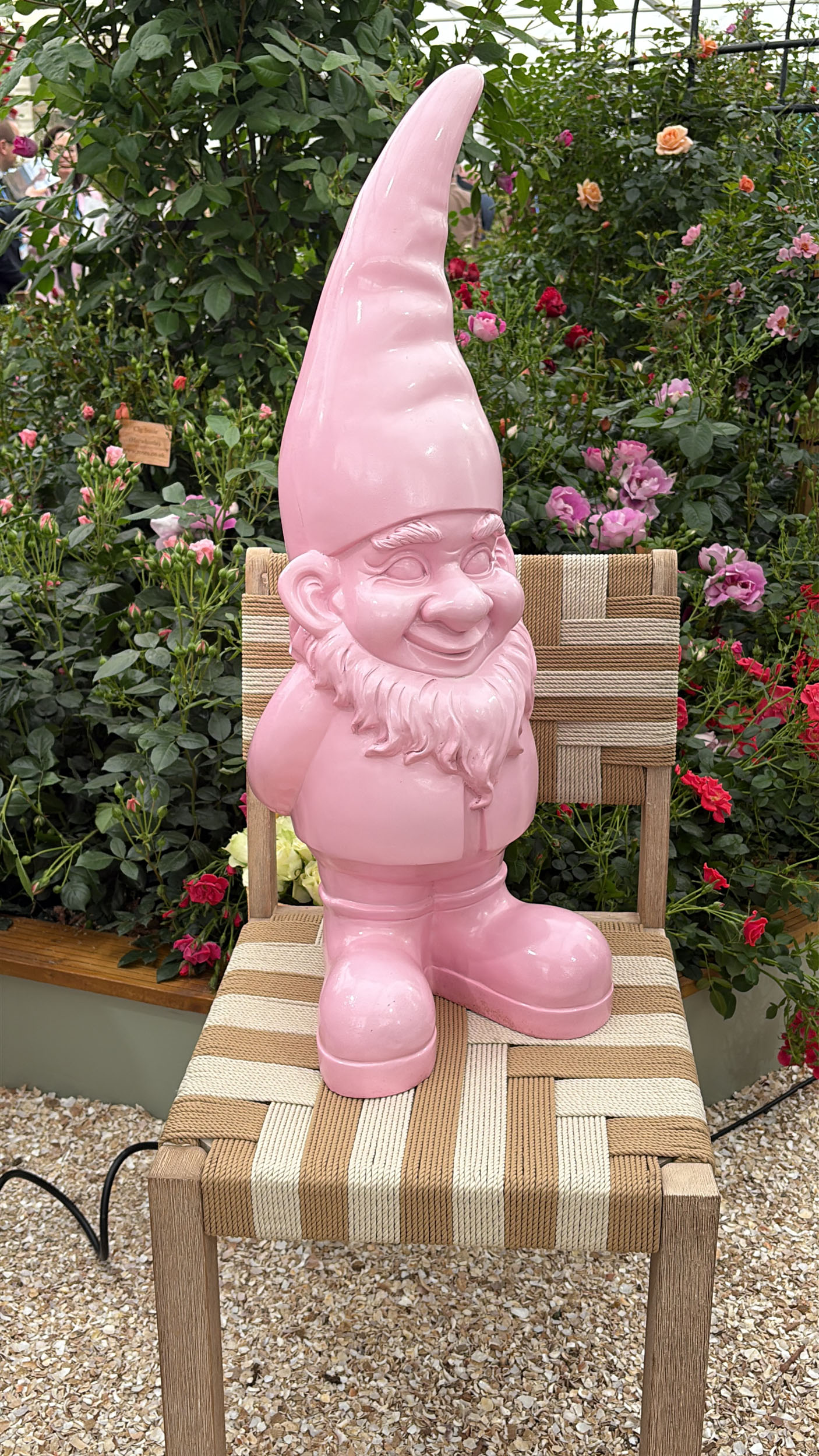 Chelsea Flower Show 26 &amp;mdash;&amp;nbsp;Day 1 pictures