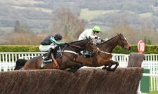 racehorse holidays