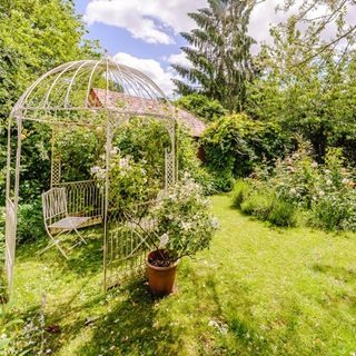 garden with plants and trees