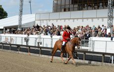 HorseNo839_RWHS15pn_12545.jpg