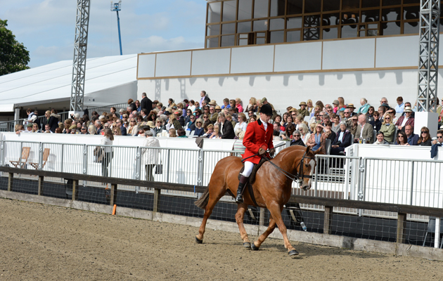 HorseNo839_RWHS15pn_12545.jpg