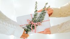 Arms holding gift box decorated with fresh green eucalyptus branches while exchanging Christmas presents