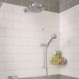Shower head in white and green bathroom
