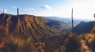 Queensland scenery