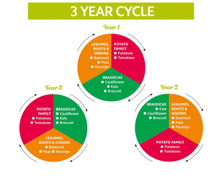 Crop rotation: a guide to healthier, more abundant veg | Gardeningetc