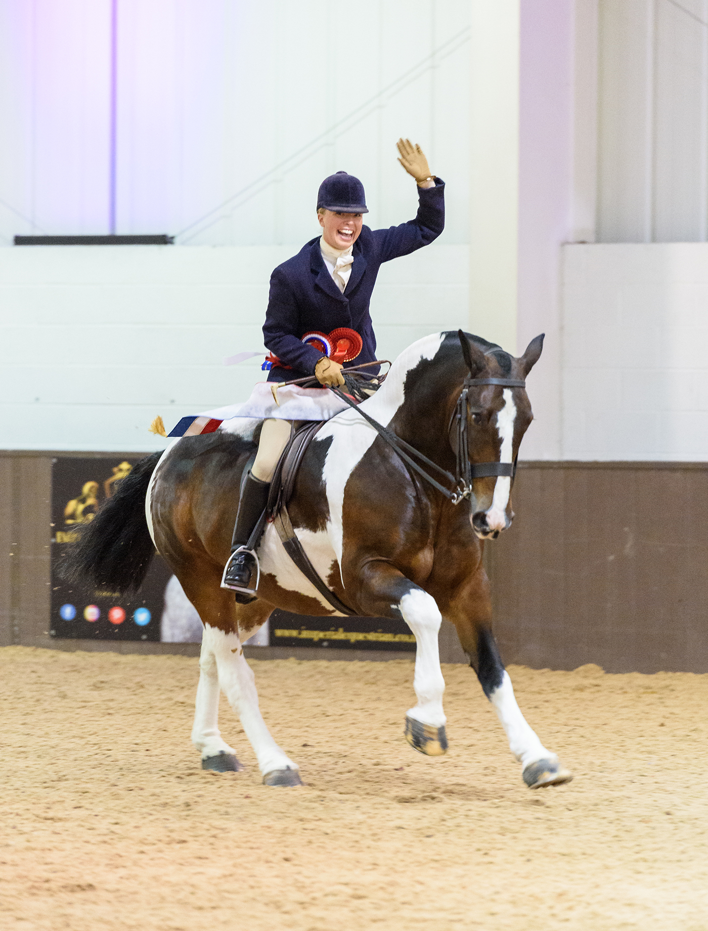 392 Emily Proud and RANDALSTOWN TOP NOTCH - BHSA National Championship Show 2019