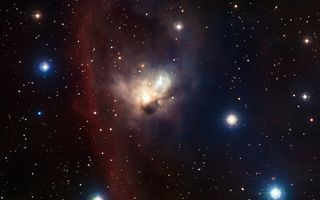 The Cosmic Bat — NGC 1788 