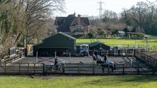 riding-alamy-2ECX9JP.jpg