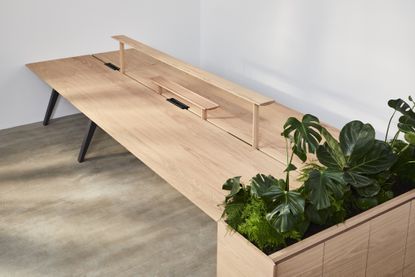 Wooden office furniture by Benchmark with plants
