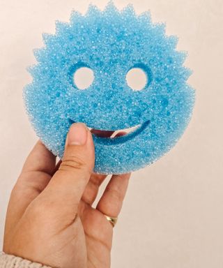 A hand holding a blue Scrub Daddy against a beige wall