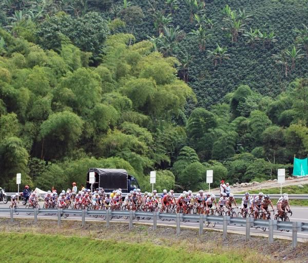The peloton passes by the famous coffee growing region.