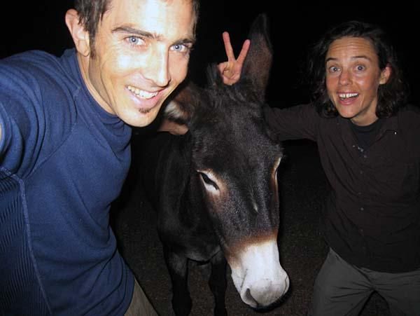 A free range donkey.