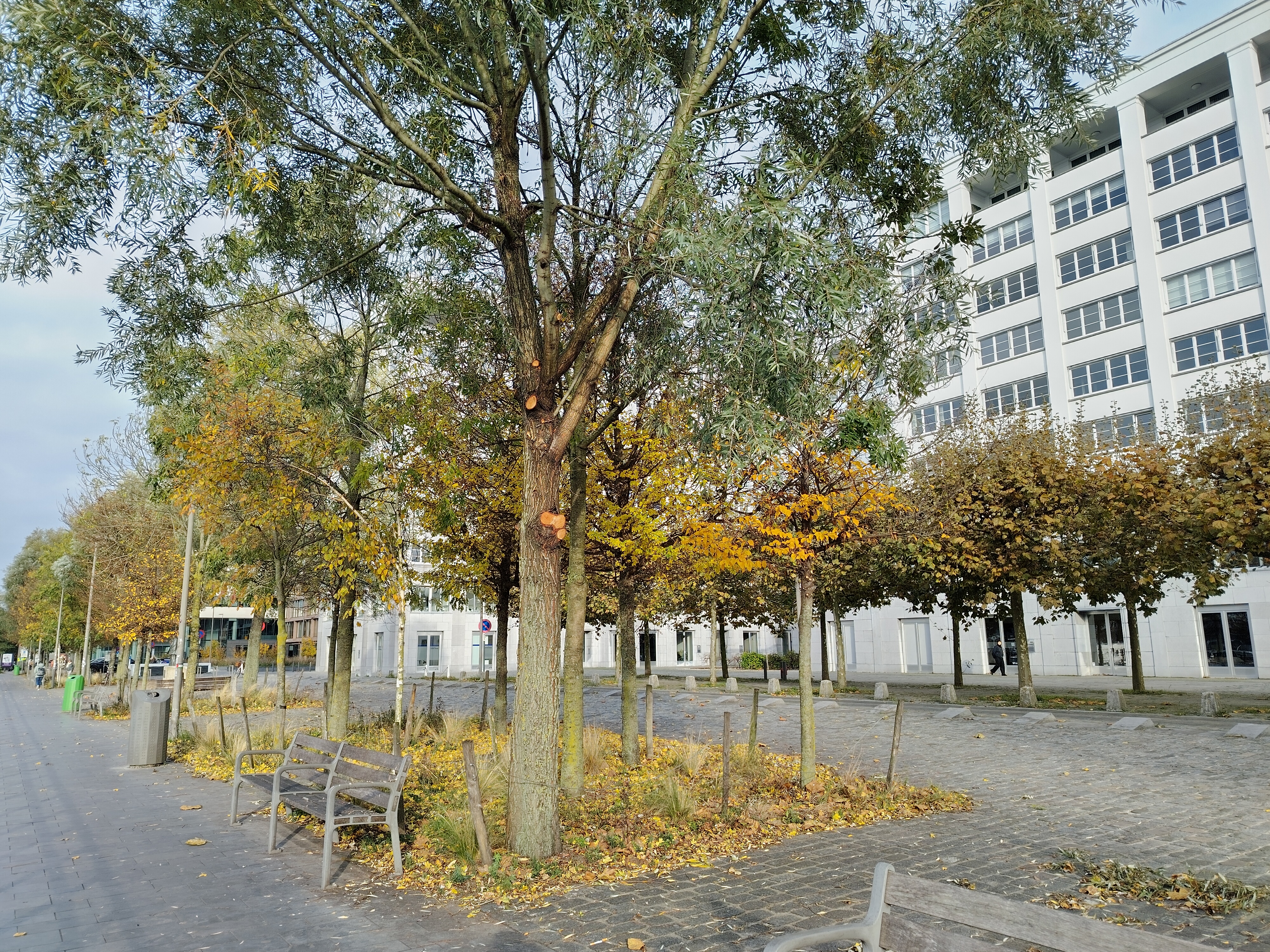 HMD Fusion voorbeeldfoto