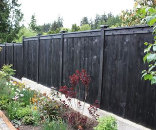 Nakamoto Forestry's Gendai® yakisugi (shou sugi ban) fence