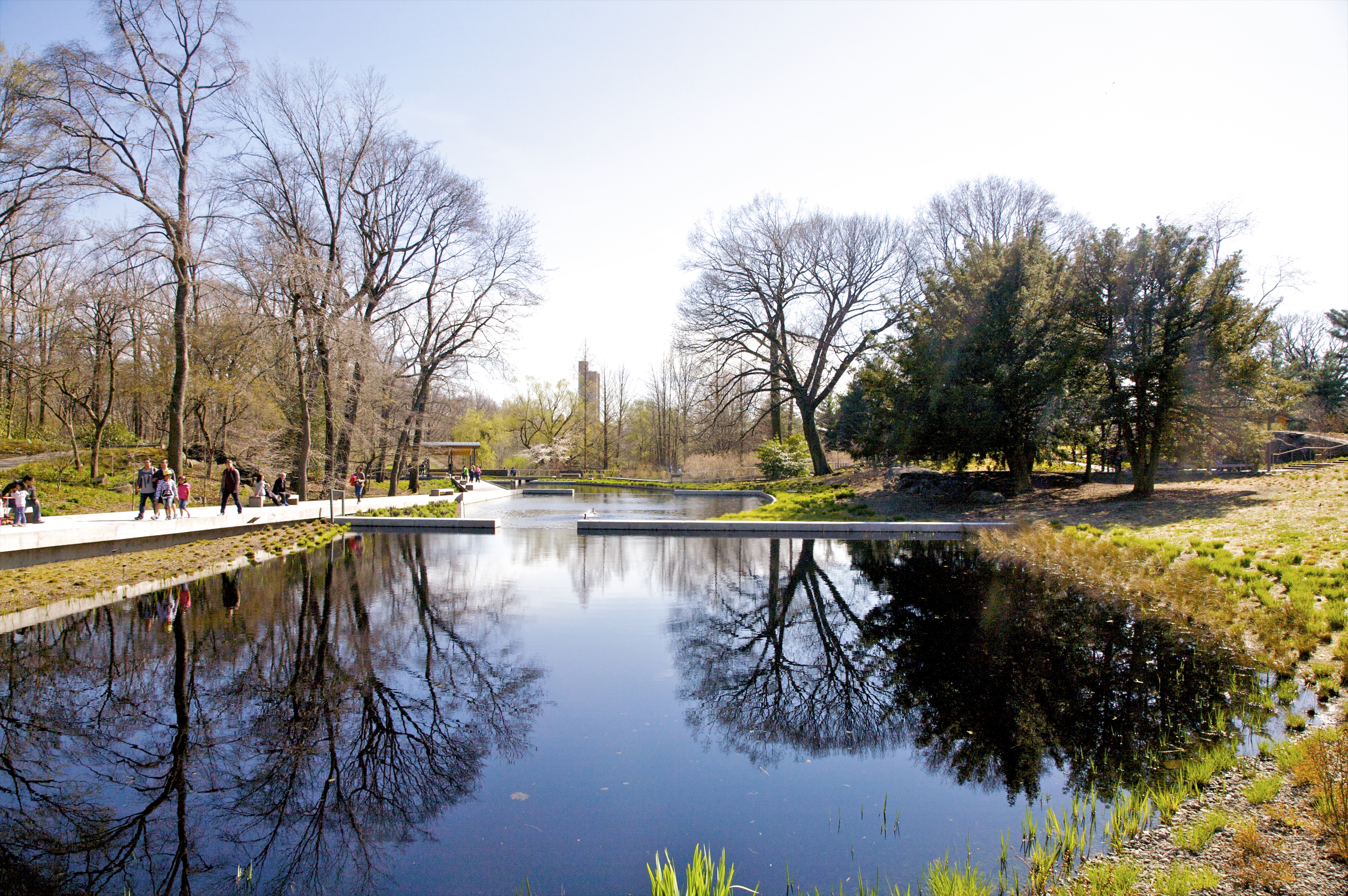 The native plants area of the New York Botanical Garden