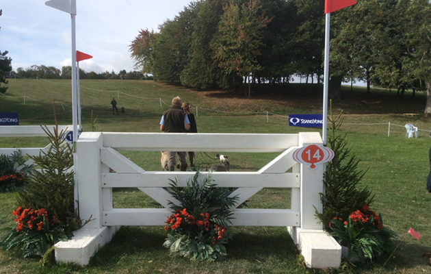 Blenheim Fences 2018