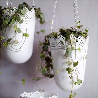 white planters with lace effect pattern