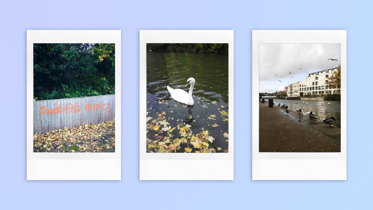 Instant photo prints taken on a Fujifilm Instax mini LiPlay Plus hybrid instant camera