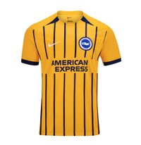 Nike Brighton & Hove Albion third shirt 2025/26
