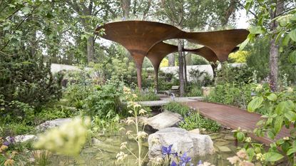 The WaterAid show garden at 2024 Chelsea Flower Show