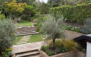 a sloping garden separated into zones