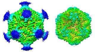 A colorful 3D illustration of two virus-like particles, depicted in green, light blue and dark blue