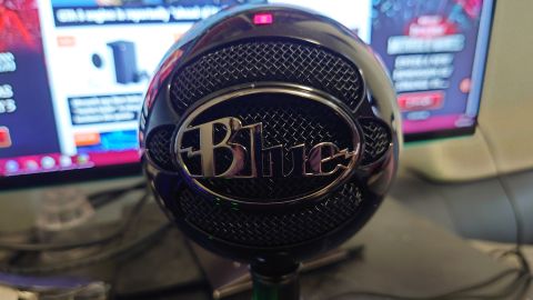 Blue Snowball review