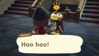 Animal Crossing: New Horizons museum