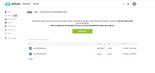 pCloud versioning