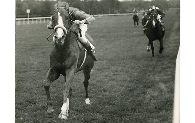 Indications of a likely royal victory in the Coronation Derby at