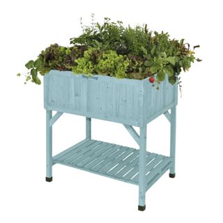 Raised garden bed in light blue with herbs and strawberries growing and overflowing the top