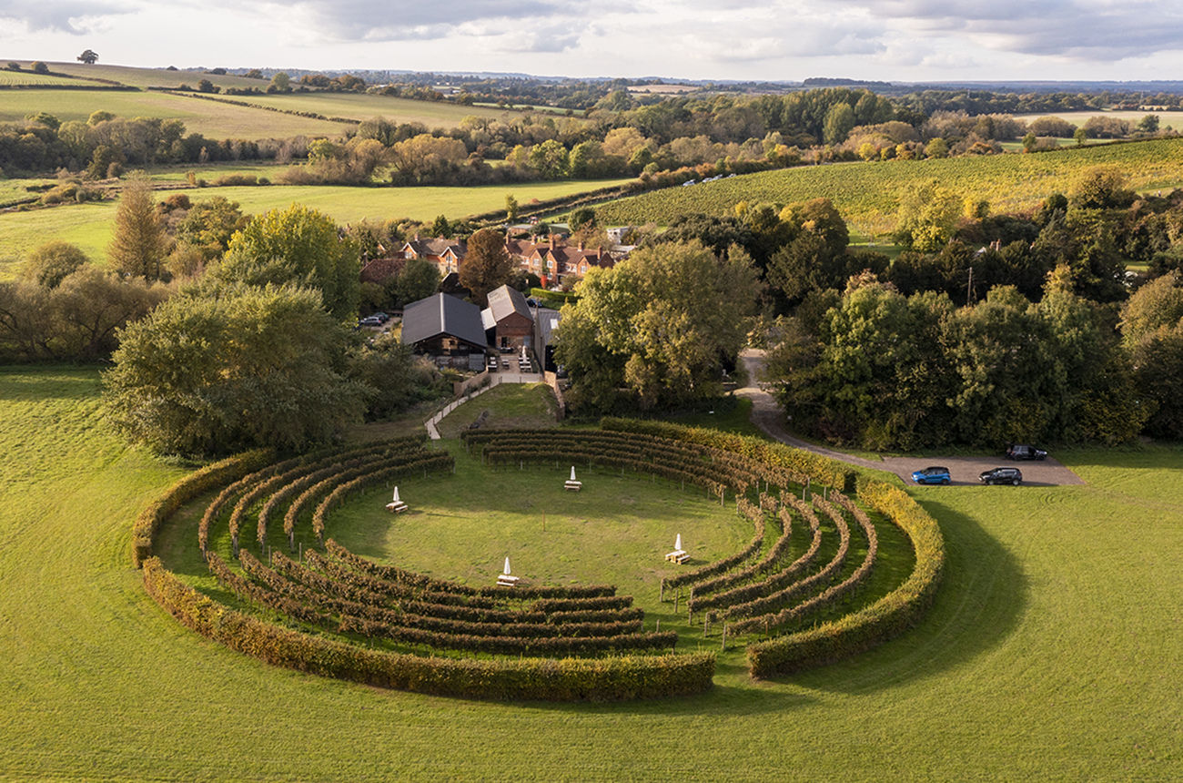 Hampshire sparkling wines