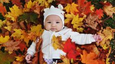 autumn baby names 760319775