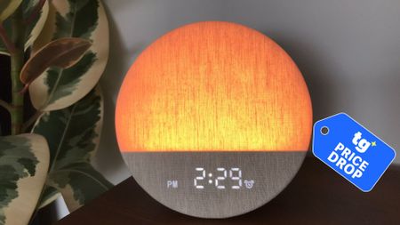 The image shows an round alarm clock on a nightstand next to a green plant, emitting an orange light