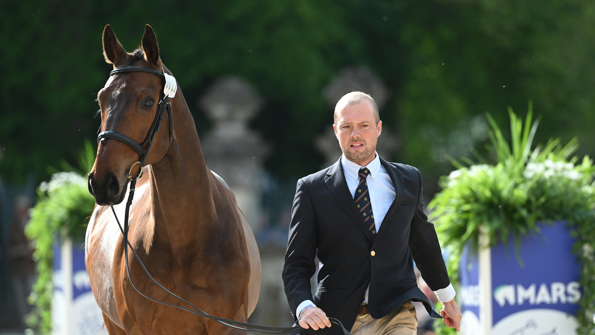 Manuel Grave and Carat De Bremoy trot up at Badminton 2025