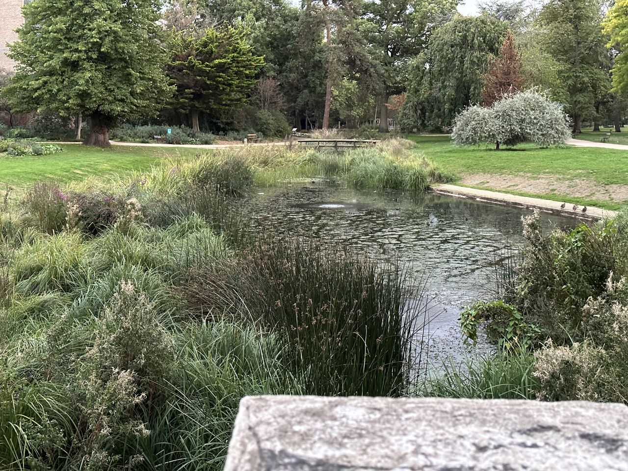 A photo captured on the iPhone 14 Pro Max