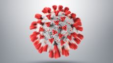 illustration shows a coronavirus particle with red spike proteins jutting out of a while viral capsule