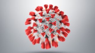 illustration shows a coronavirus particle with red spike proteins jutting out of a while viral capsule