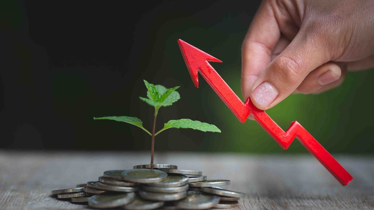 Photo of a hand holding a jagged arrow over a pile of coins with a plant sprouting from it