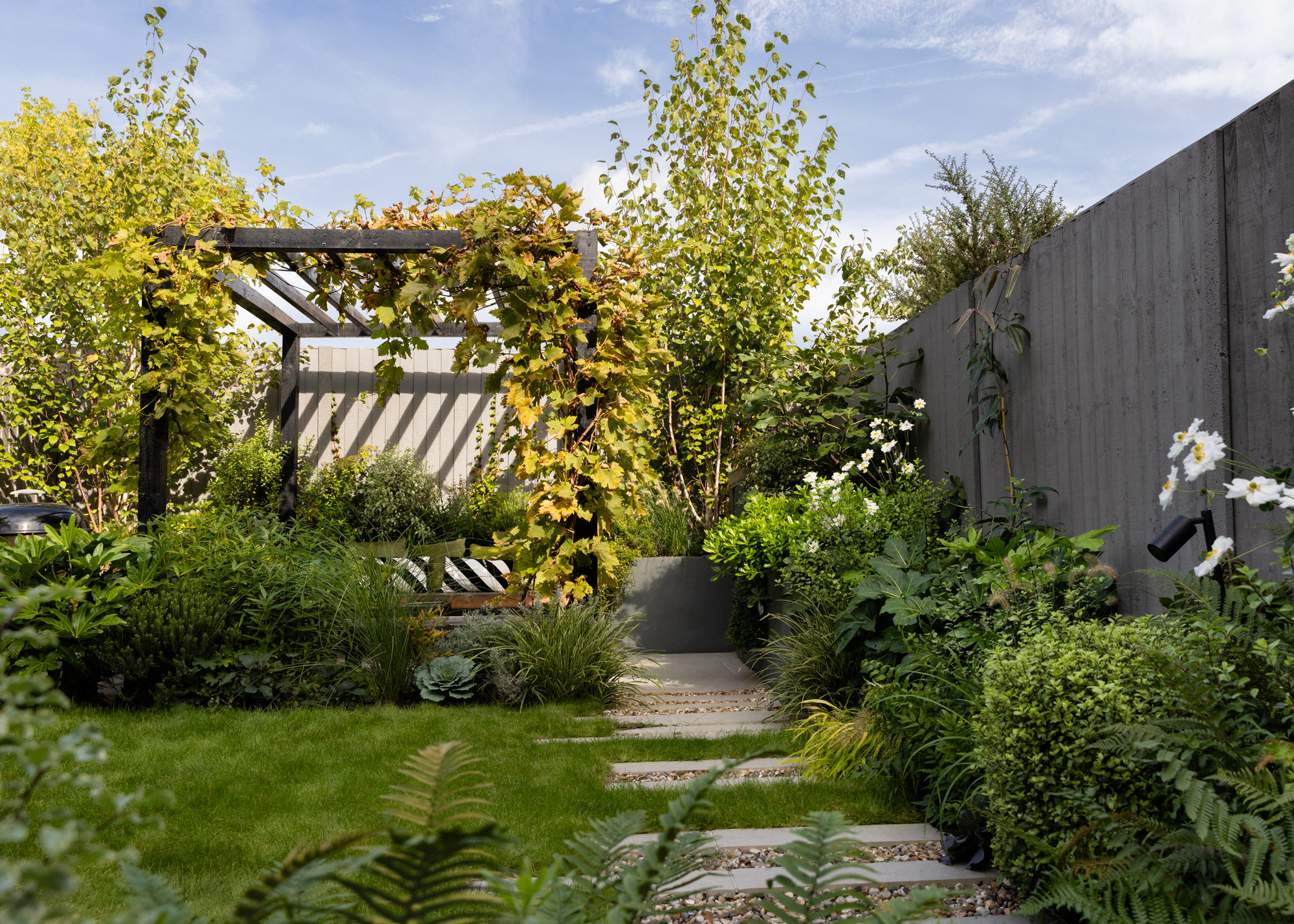 timber pergola with vines growing over it in a corner at the end of the garden