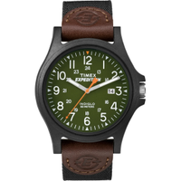 Timex Expedition