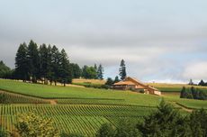 Oregon's French connection