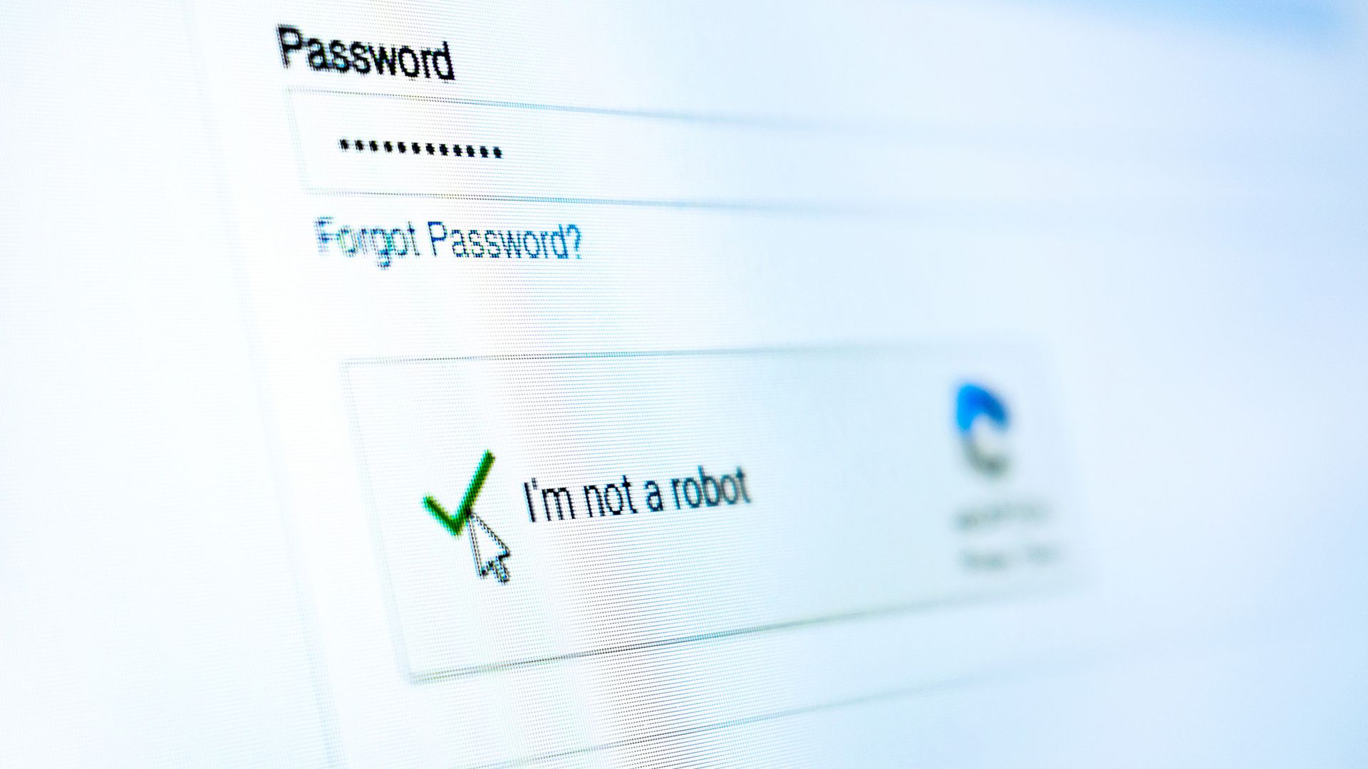 A close up of a computer screen showing the captcha