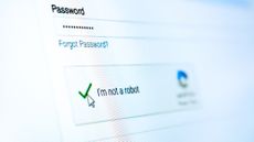 A close up of a computer screen showing the captcha "I am not a robot" clicked with a green check mark