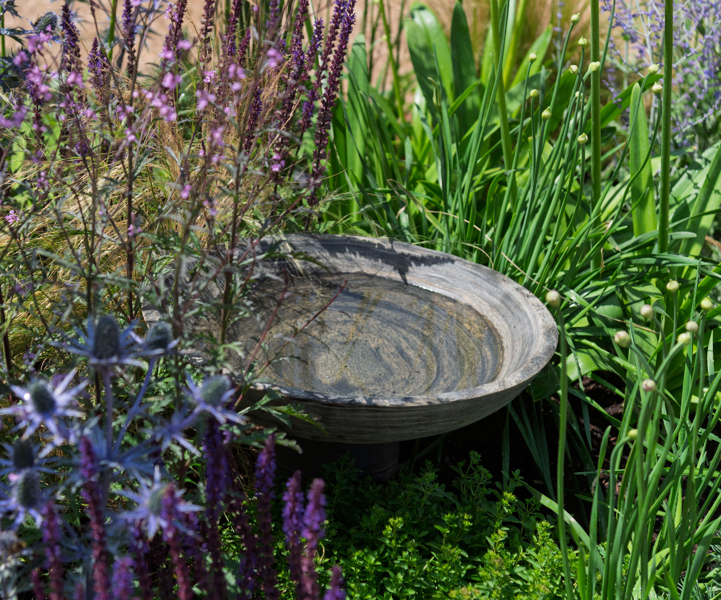 modern bowl water feature surrounded by blue and purple flowers and other planting