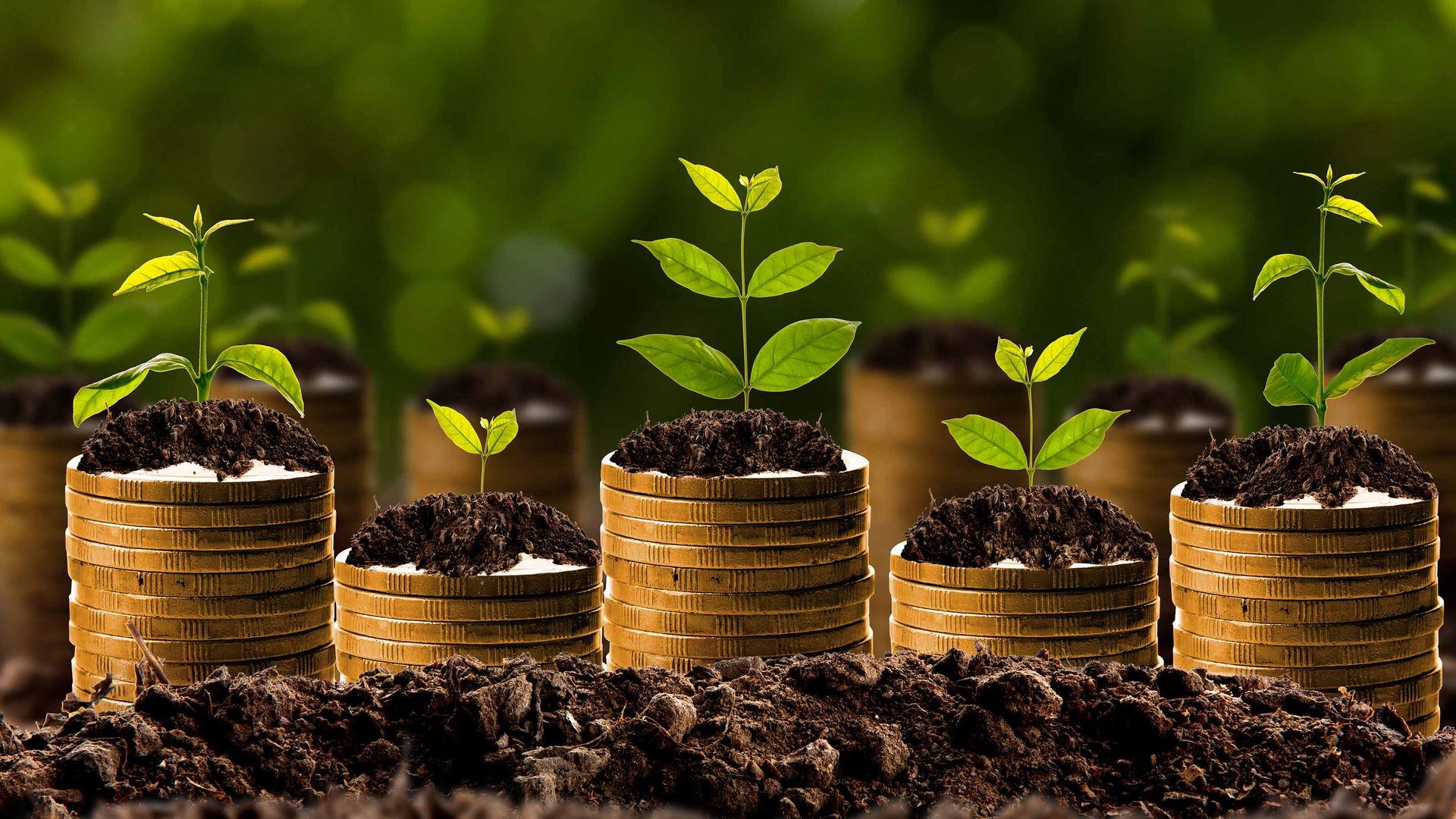 Vanguard Dividend Appreciation ETF