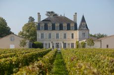 Pauillac wines