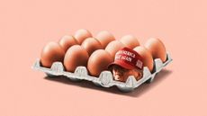 Illustration of a carton of eggs with Donald Trump inside